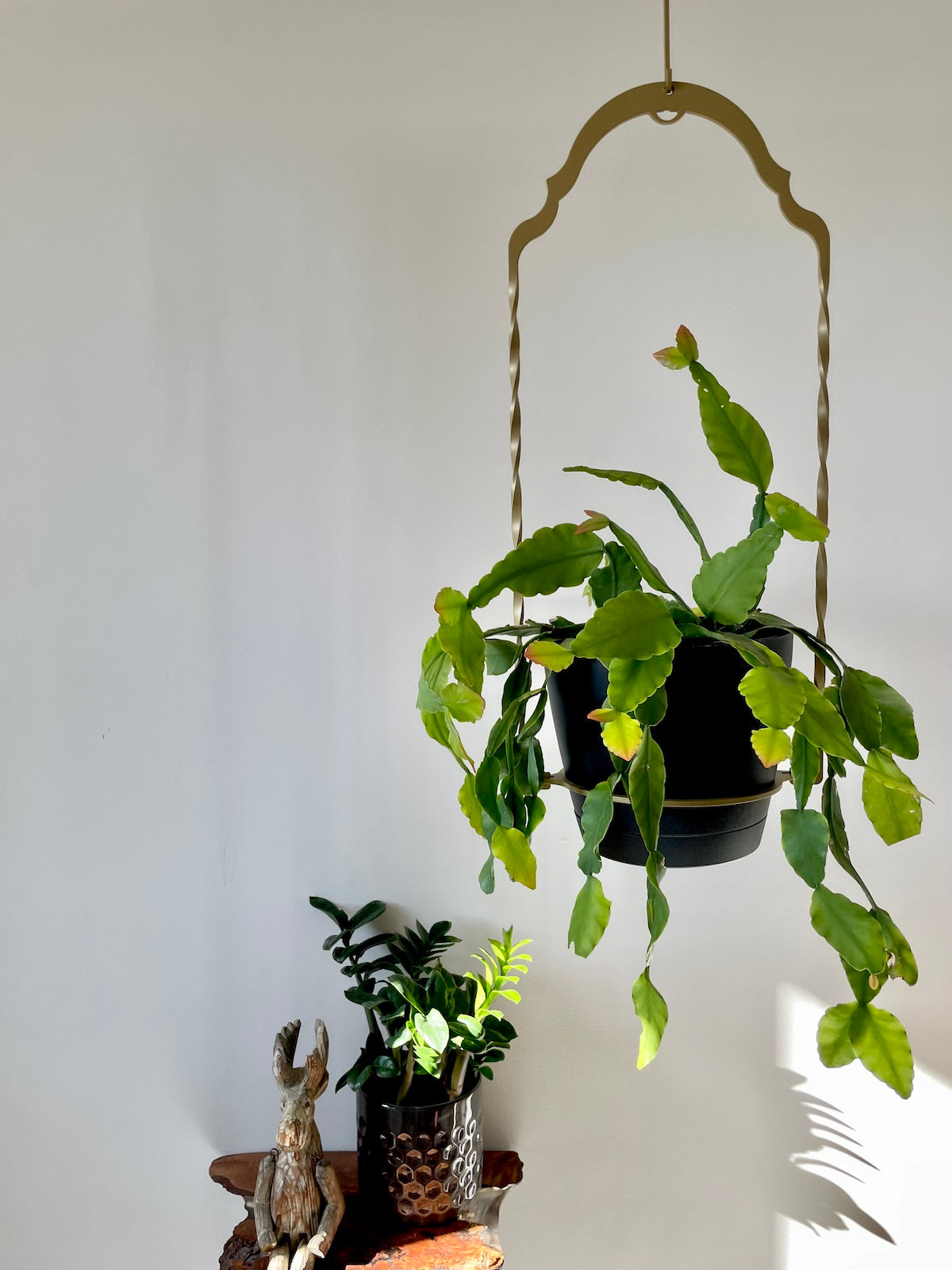 Plant Hangers 101