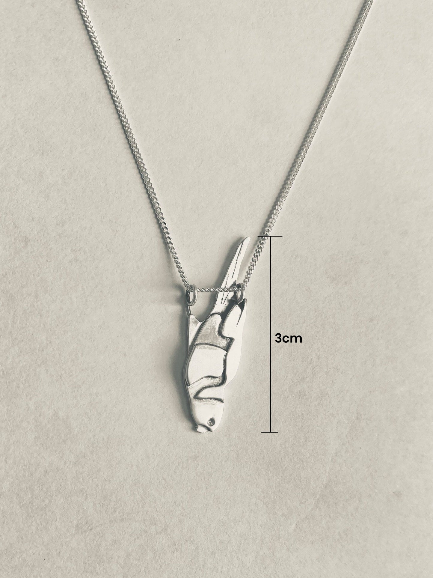 Rainbow Lorikeet Silver Pendant