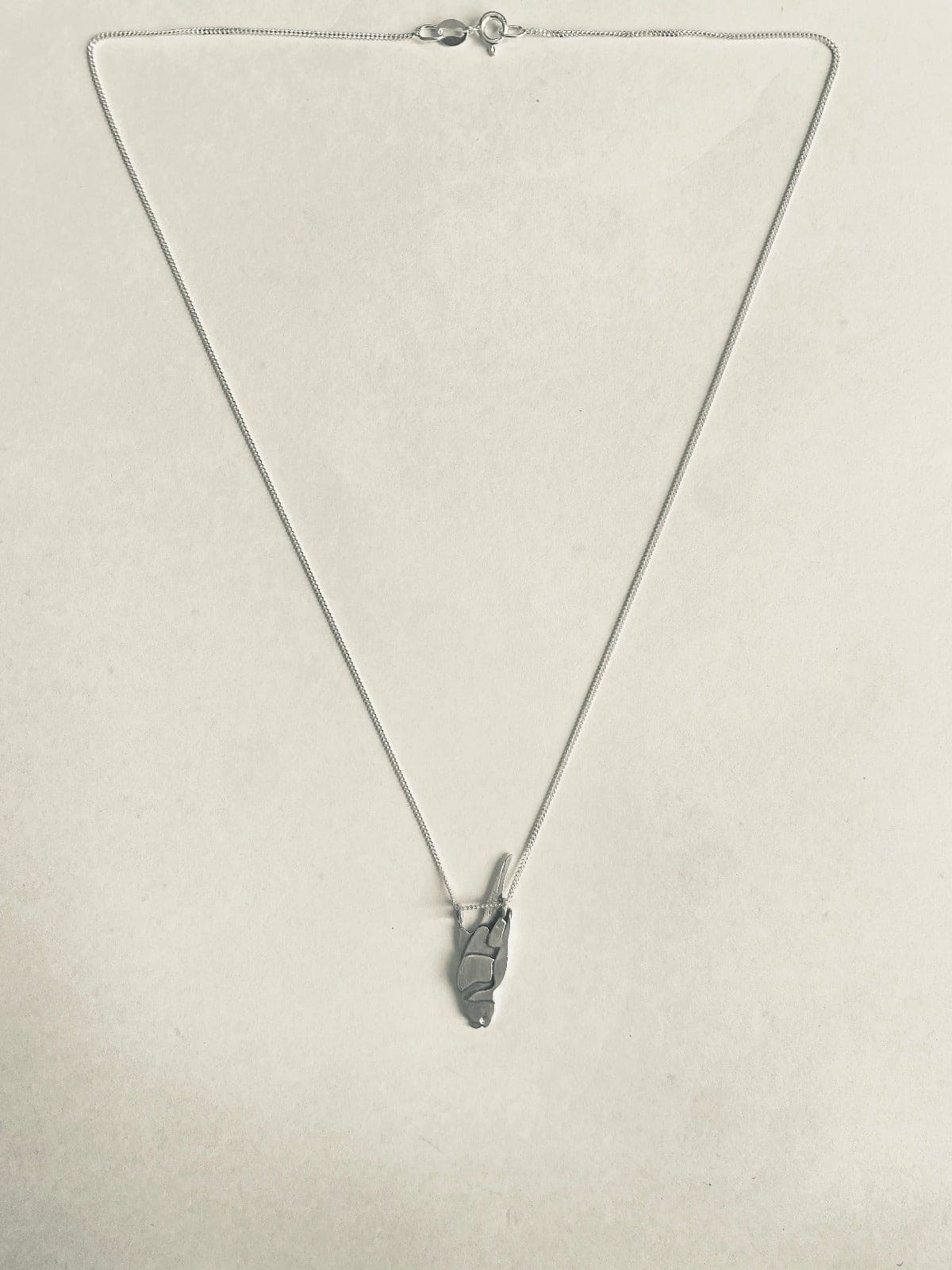 Rainbow Lorikeet Silver Pendant