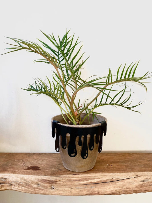 Drippy plant pot decal
