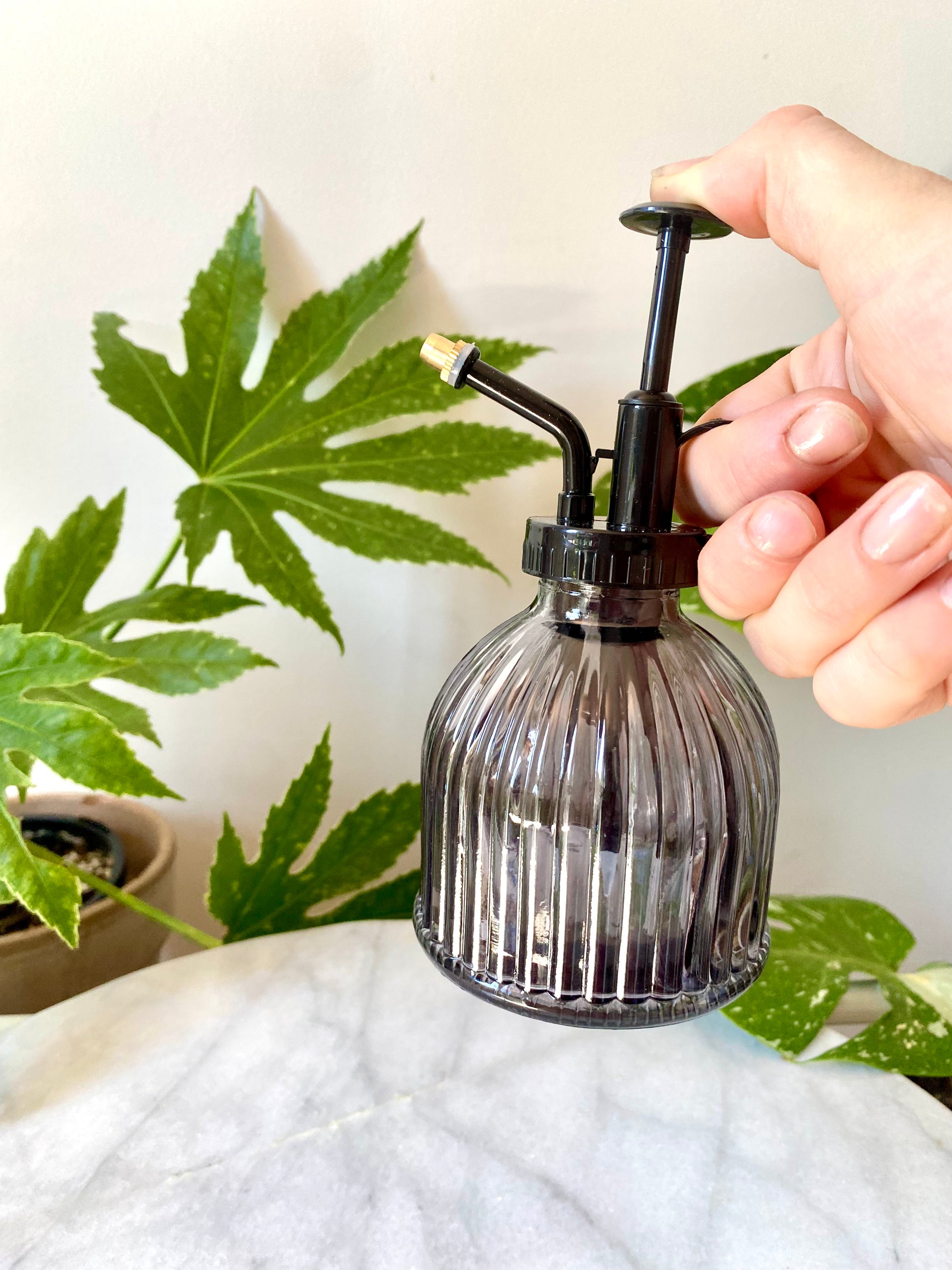 a grey glass and black handled mister for plants.