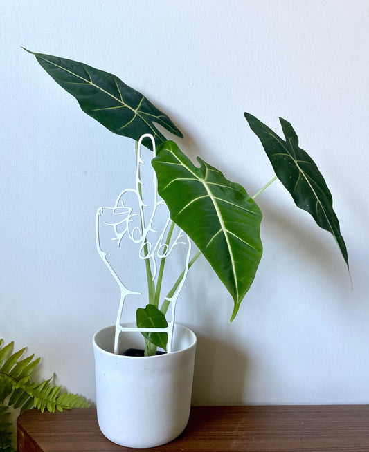 unique hand handmade metal steel plant trellis totem stake philodendron hoya garden balcony herbs flowers planty gift funny rude