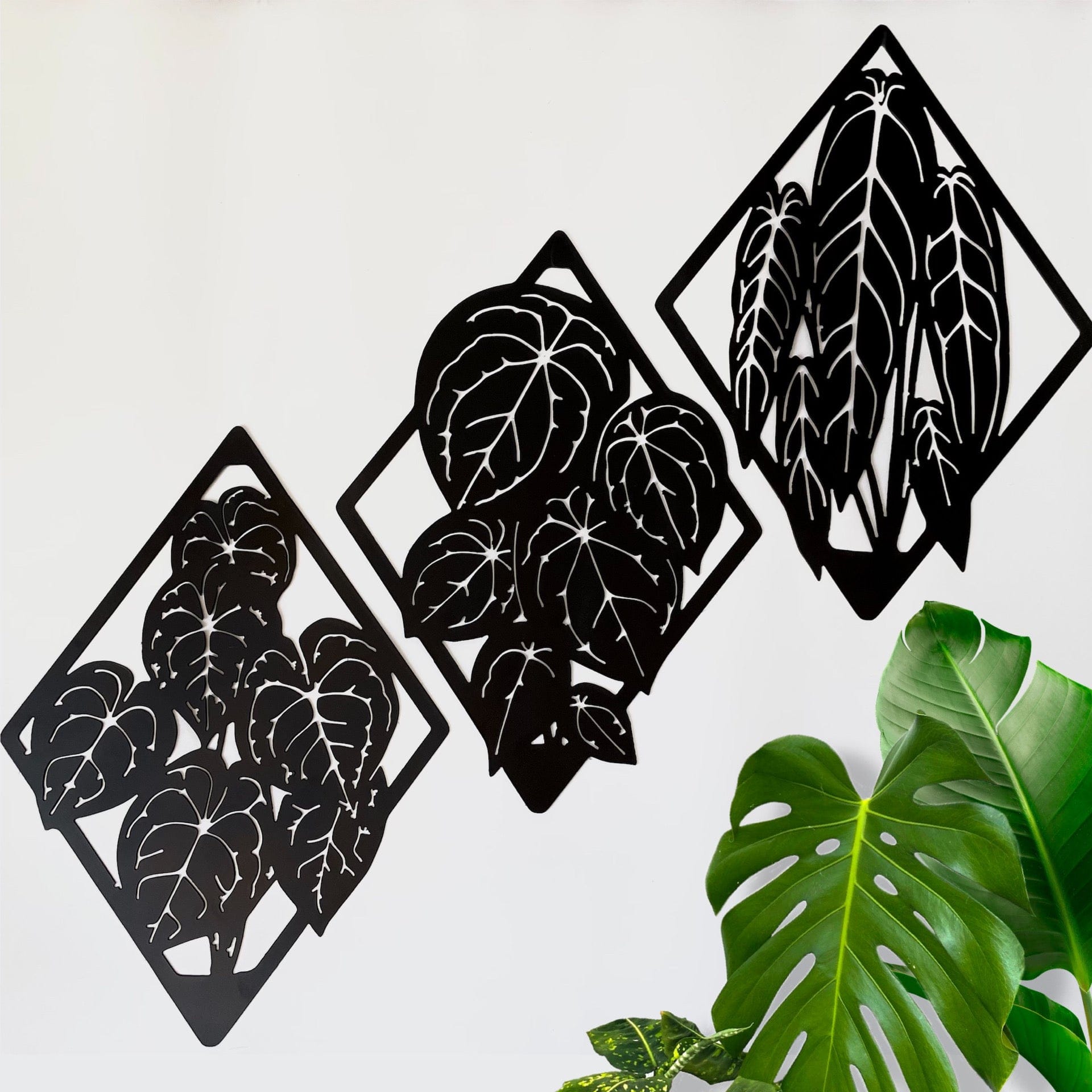 anthurium three piece steel metal black wall art silhouette shadow line art design planty gift decor farmhouse greenhouse houseplant jungle iron ivy