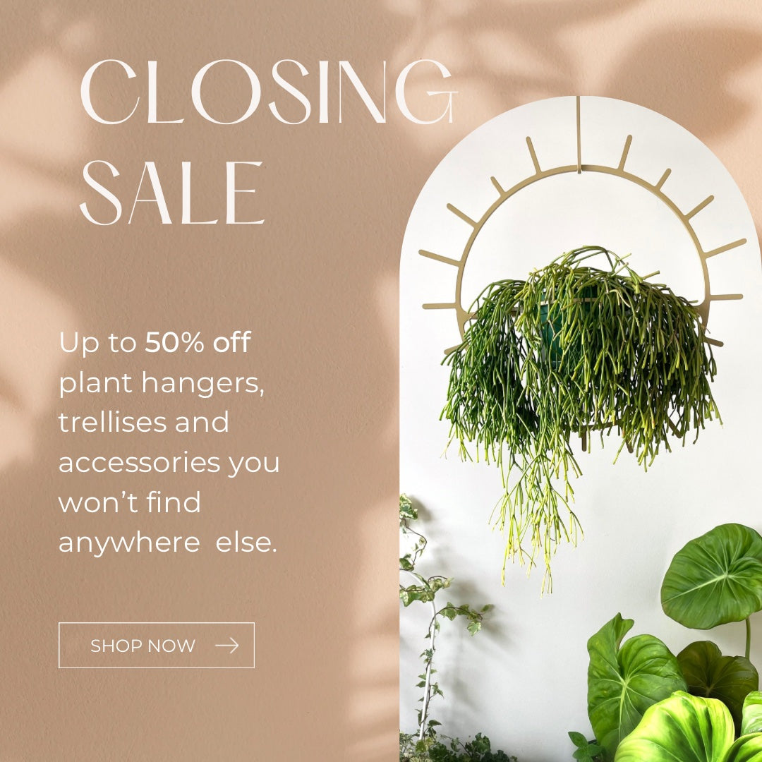 the text 'CLOSING SALE, up to 50% off plant hangers, trellises and accessories you wont find anywhere else' a picture in an arch frame with a gold starburst shape plant hanger and green foliage at the bottom.