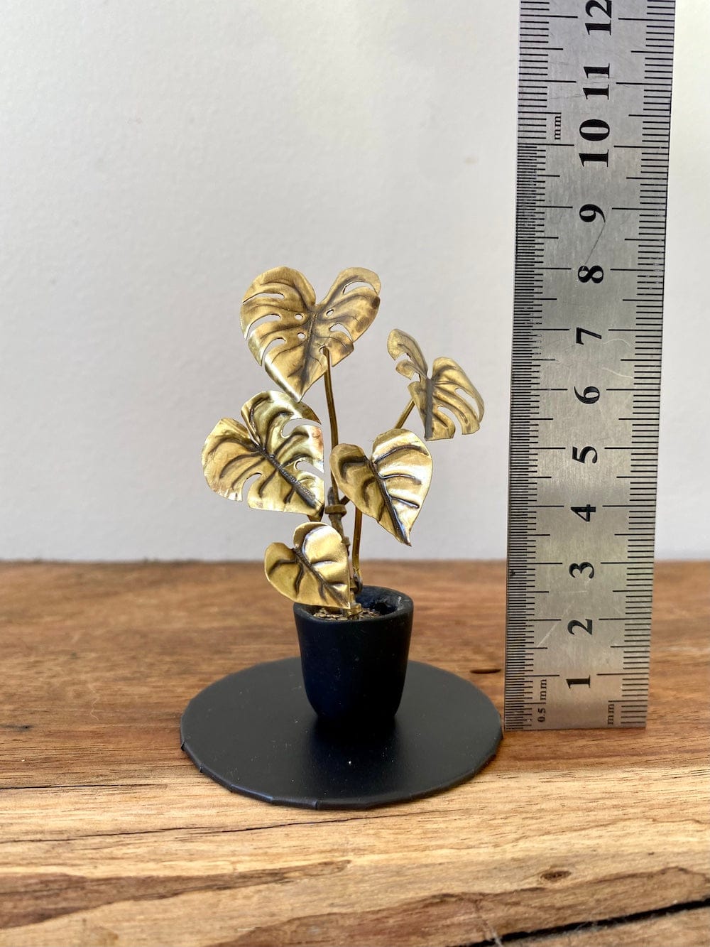 Miniature Brass Monstera Deliciosa