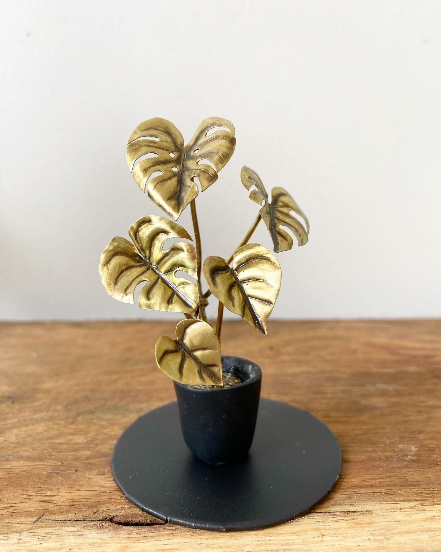 Miniature Brass Monstera Deliciosa