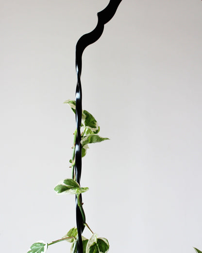 Twisted Arch Plant Hanger