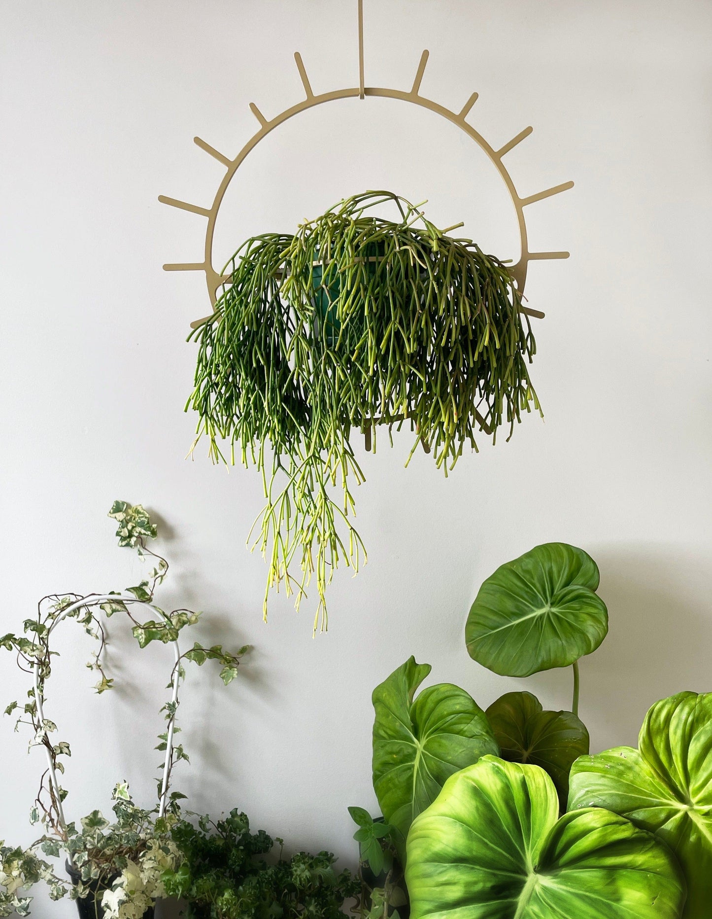 Starburst Plant Hanger