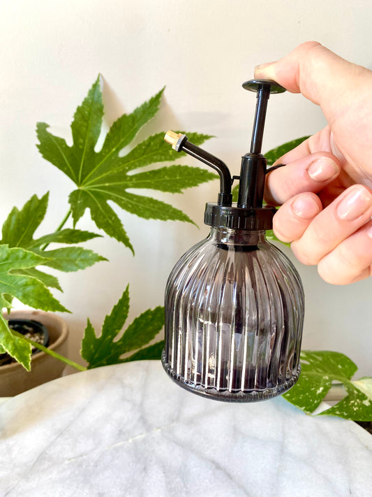 a grey glass and black handled mister for plants.