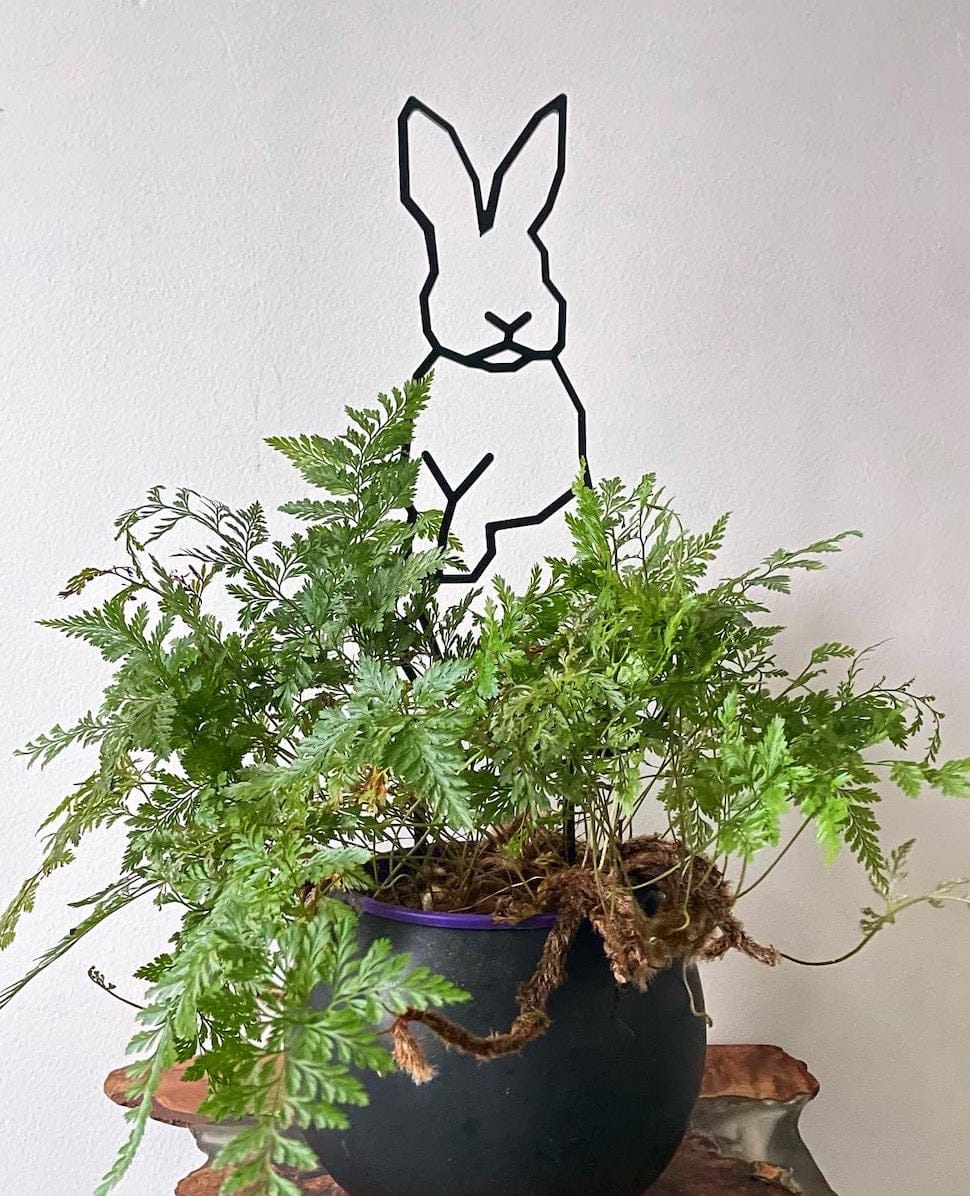 Rabbit Trellis