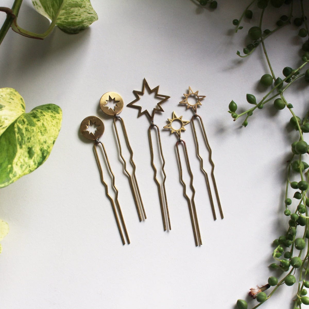 Australian made brass propagation pins propagate indoor plants for plant pots easy node vine garden home decor  planter stars North Star