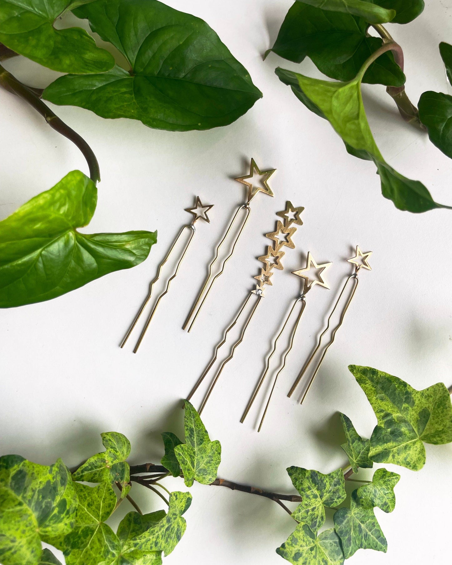 Propagation Pin Set "Star"