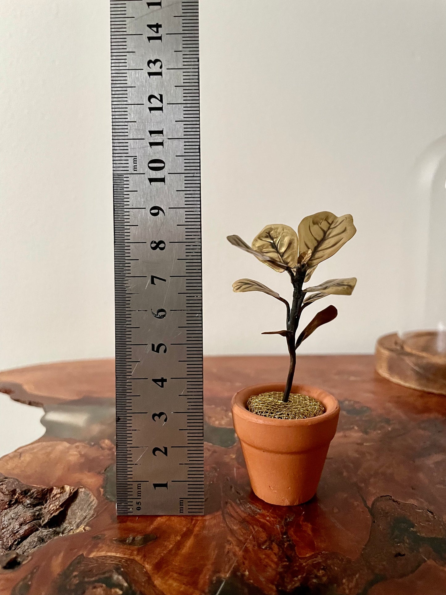 Miniature Brass Fiddle Leaf Fig