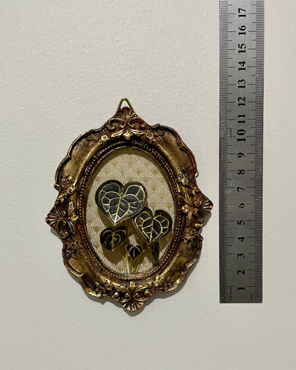 Miniature Brass Anthurium Clarinervium Frame