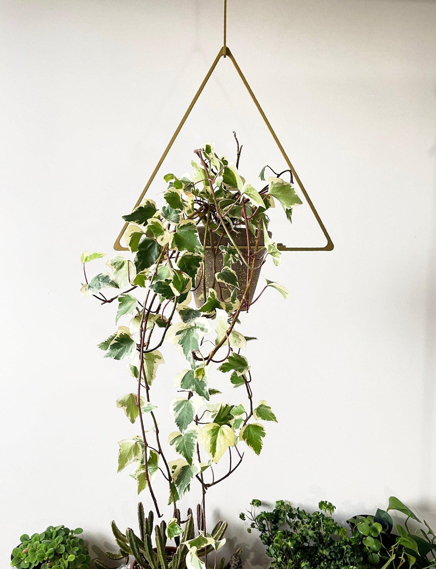 Triangle Plant Hanger