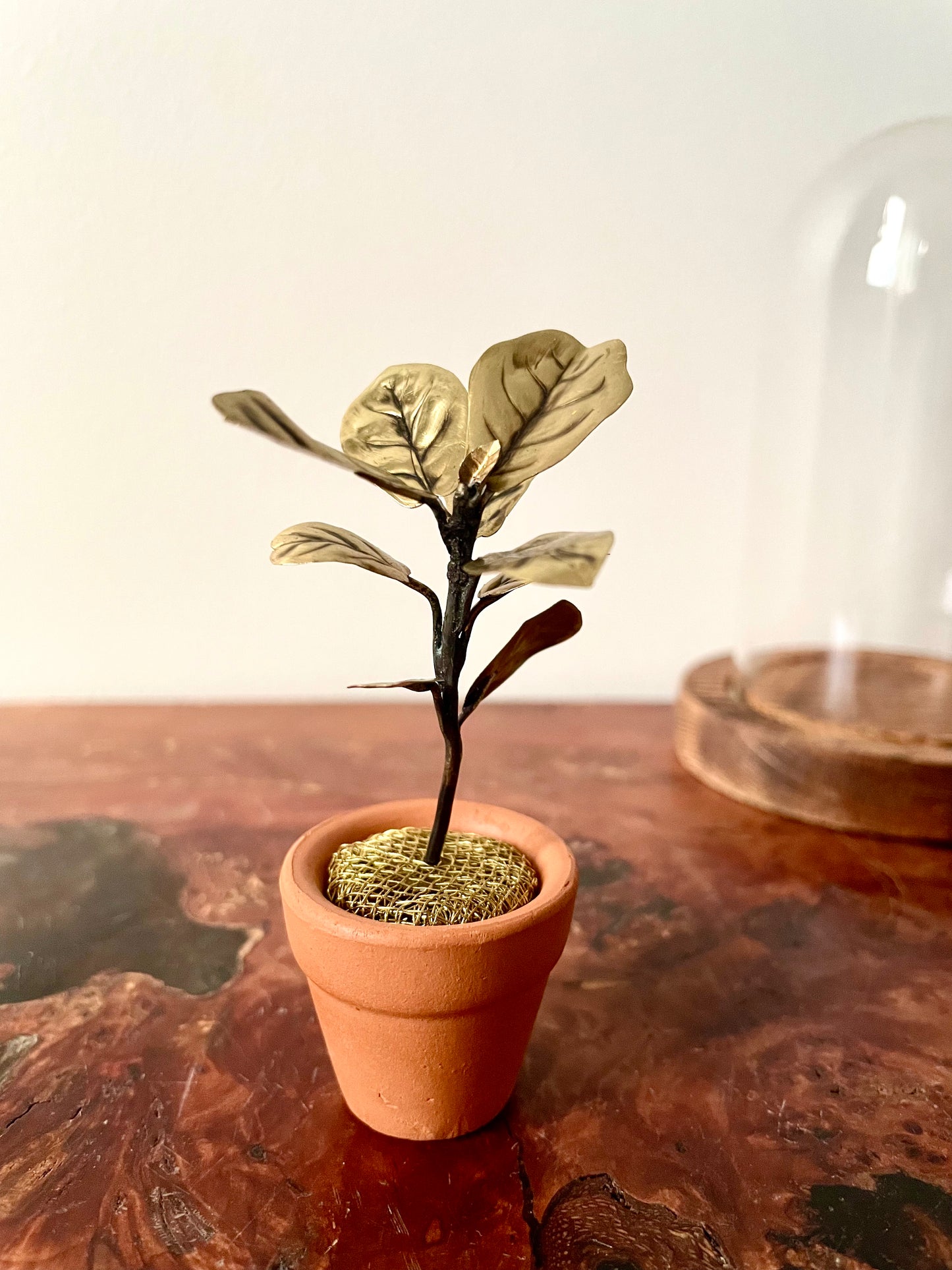 Miniature Brass Fiddle Leaf Fig