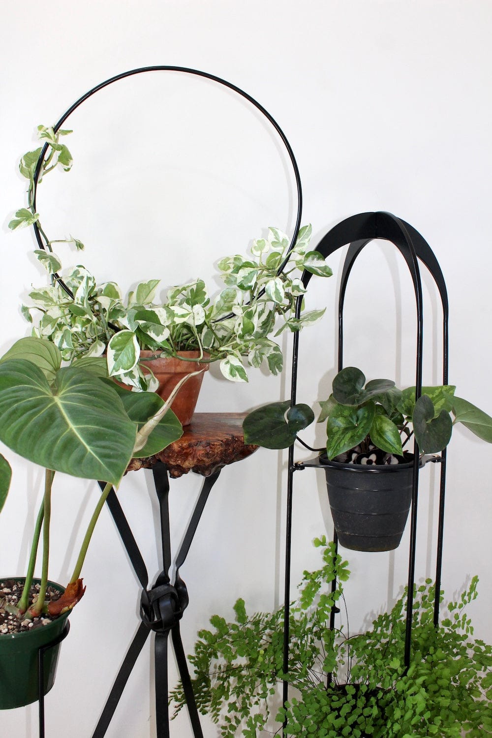 Triple Plant Stand