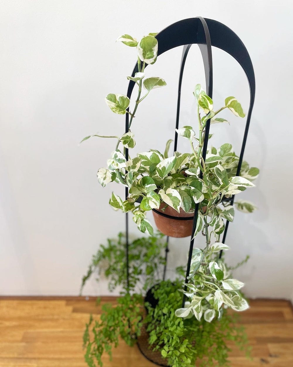 Triple Plant Stand