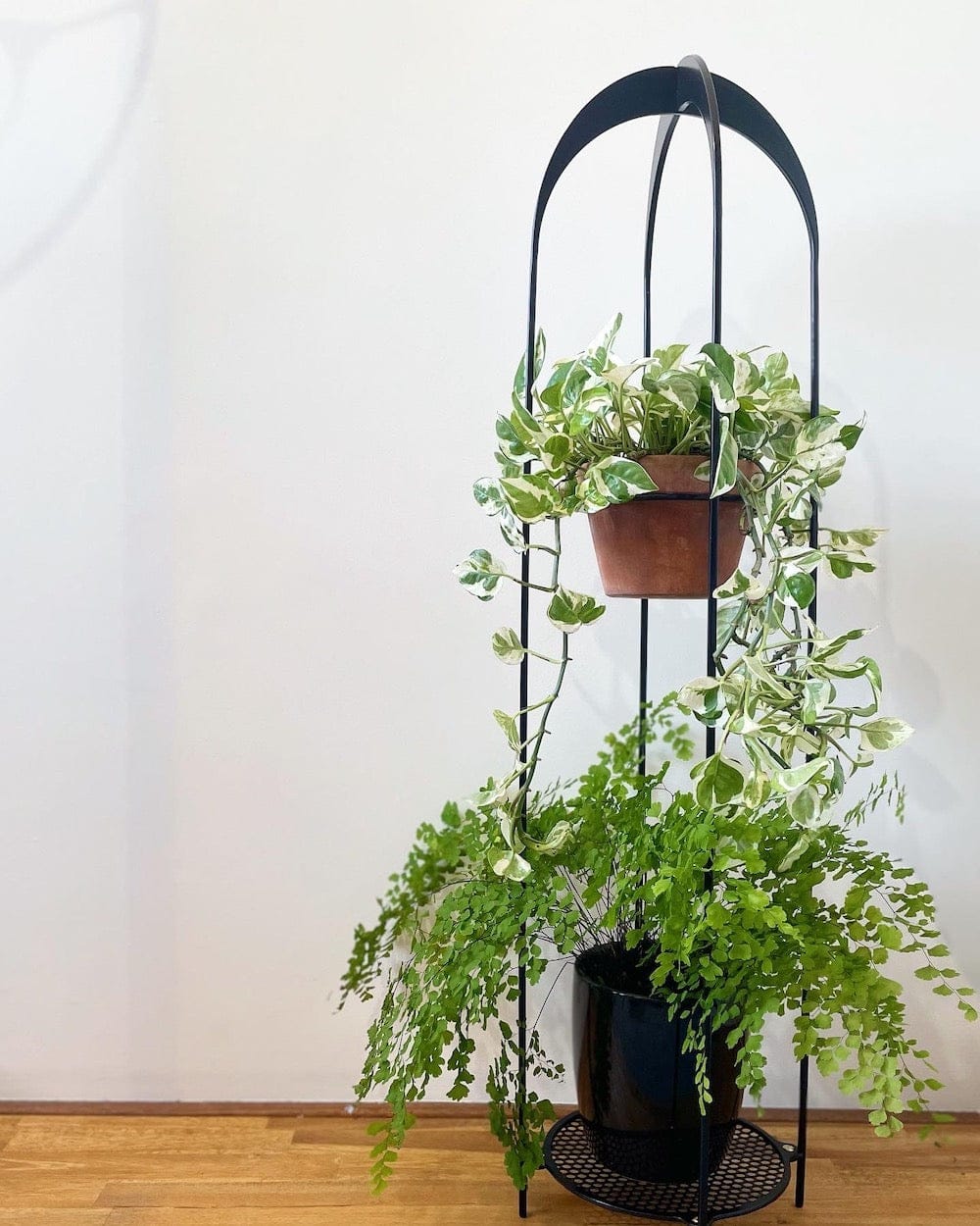 Triple Plant Stand