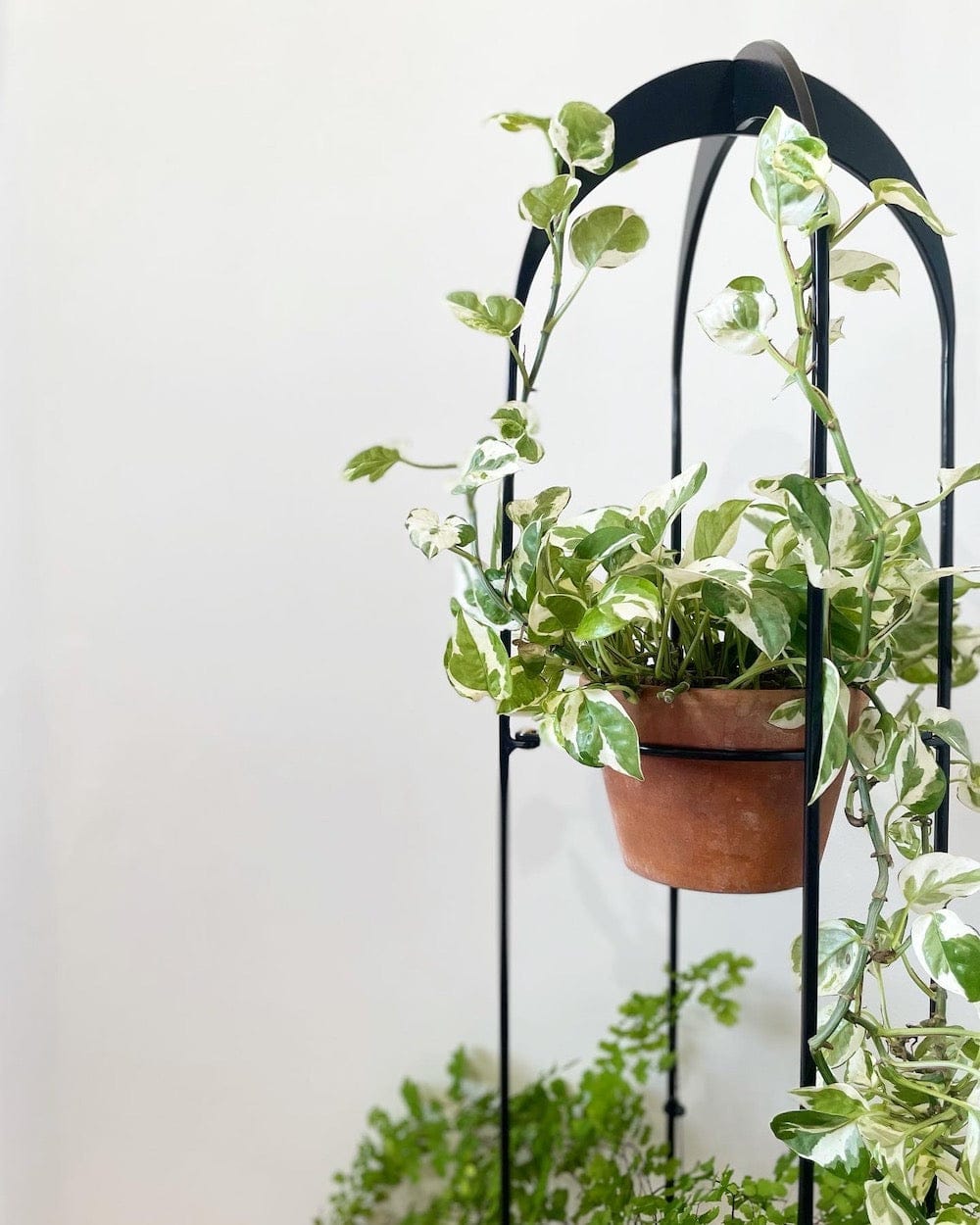 Triple Plant Stand